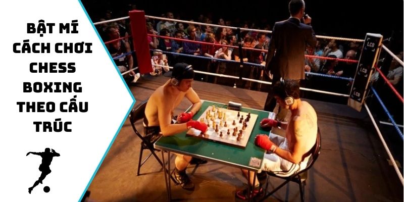 Bật mí cách chơi Chess Boxing theo cấu trúc