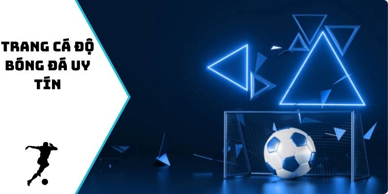 trang cá độ bóng đá uy tín