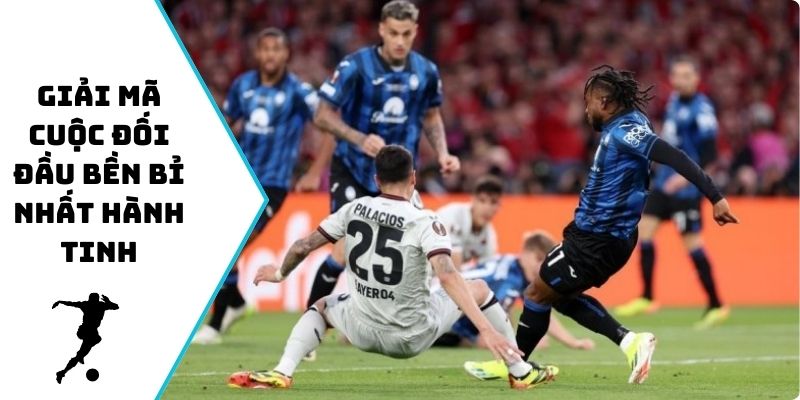 Giải mã cuộc đối đầu bền bỉ nhất hành tinh