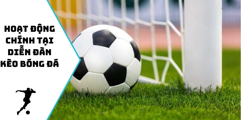 Hoạt động chính tại diễn đàn kèo bóng đá