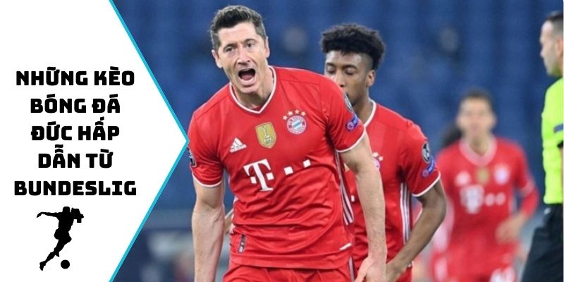 Những kèo bóng đá Đức hấp dẫn từ Bundesliga