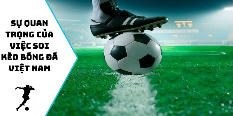 Sự quan trọng của việc soi kèo bóng đá Việt Nam