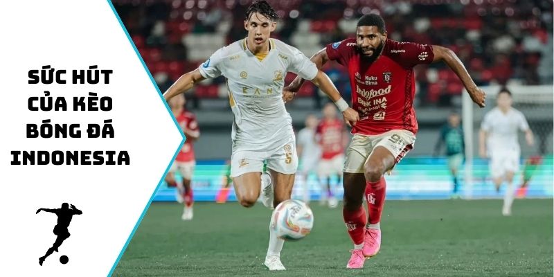 Sức hút của Kèo bóng đá Indonesia