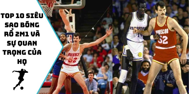 Top 10 siêu sao bóng rổ 2m1 và sự quan trọng của họ